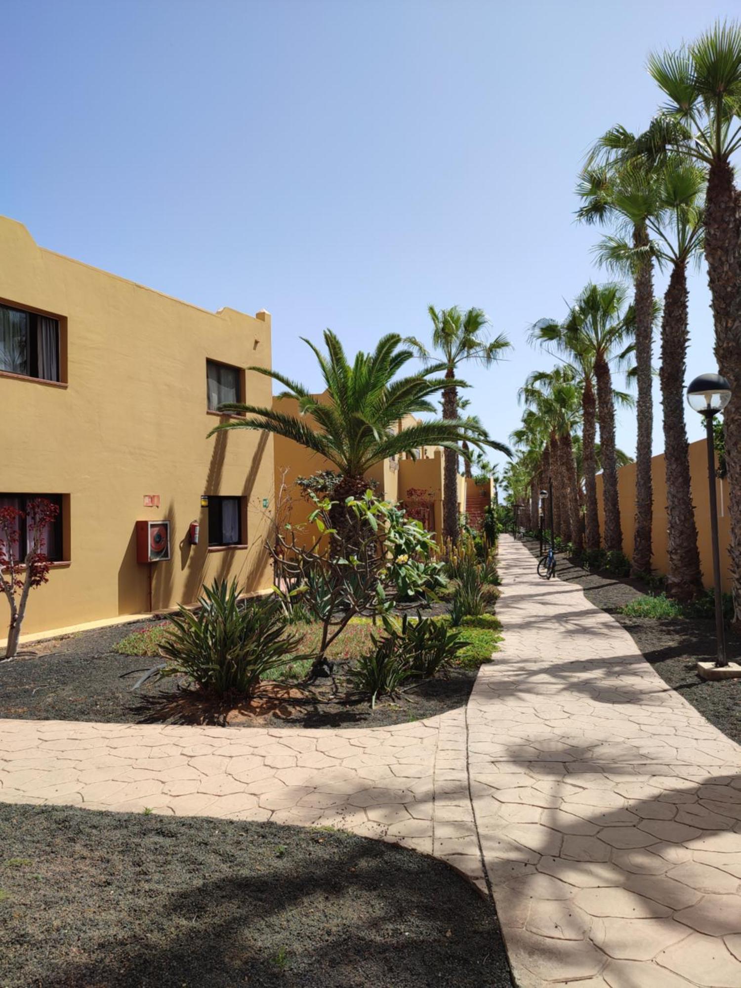 Casa Papagayo Διαμέρισμα Κοραλέχο Εξωτερικό φωτογραφία